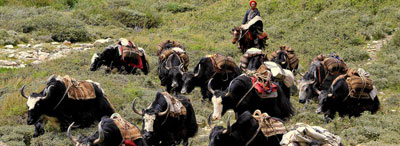 Lower Dolpo trekking Lower Dolpo trekking