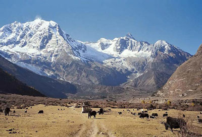 Manaslu trekking