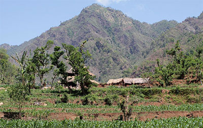 Chepang Hill trekking